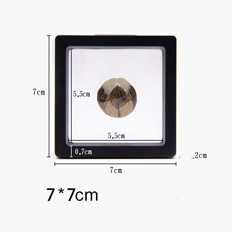 Floating Display Frame — Black, 7 cm